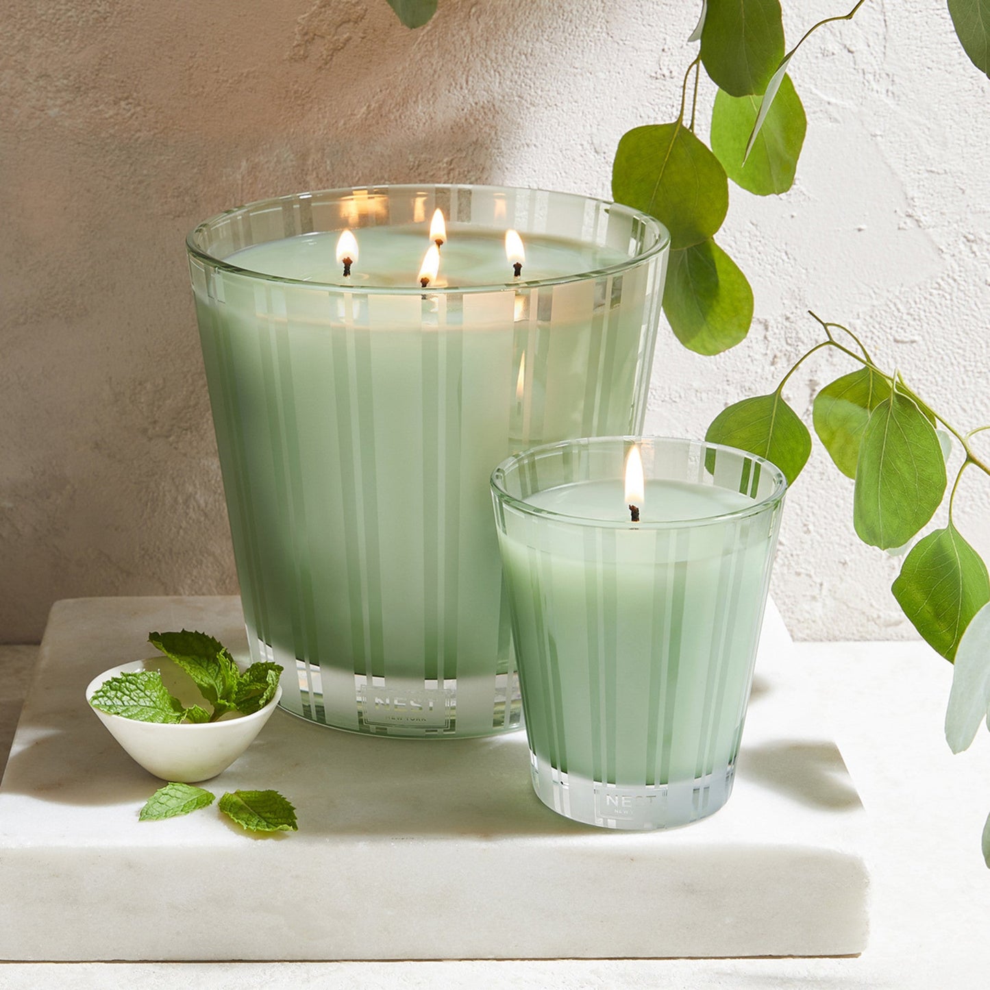 Wild Mint and Eucalyptus Candle