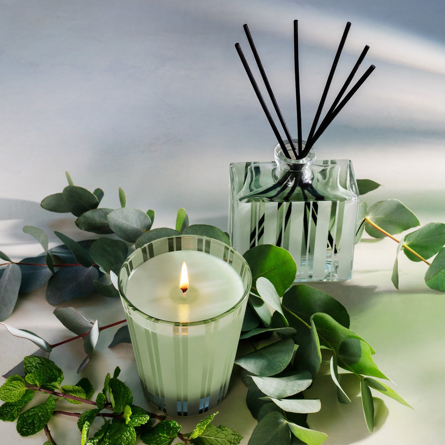 Wild Mint and Eucalyptus Candle